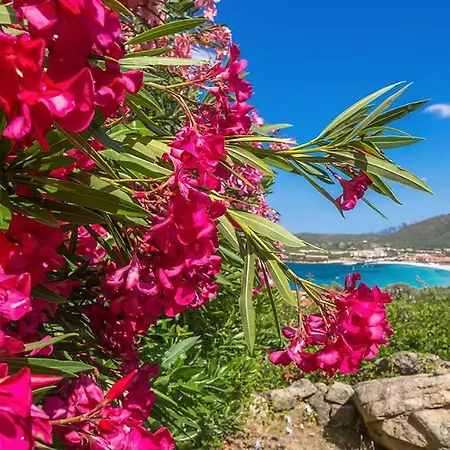 2 Bedroom Stunning In Golfo Di Marinella Marinella (Sardinia)